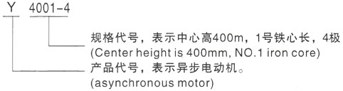 西安泰富西玛Y系列(H355-1000)高压YJTFKK5605-2三相异步电机型号说明