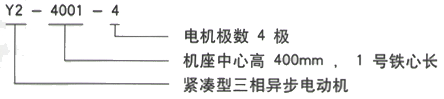 YR系列(H355-1000)高压YJTFKK5605-2三相异步电机西安西玛电机型号说明